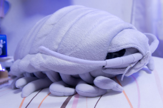 Illustration for article titled This Giant Crustacean Cuddly Toy Is a Hot Seller in Japan
